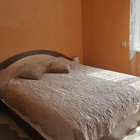 Vieno Miegamojo Apartamentai Apartment Kaunas
