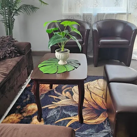 Vieno Miegamojo Apartamentai Kaunas
