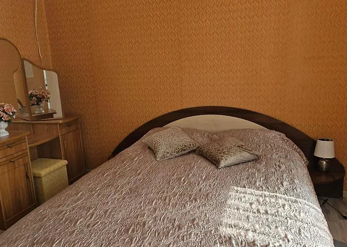 Dvieju Kambariu Butas Kauno Centre Apartment