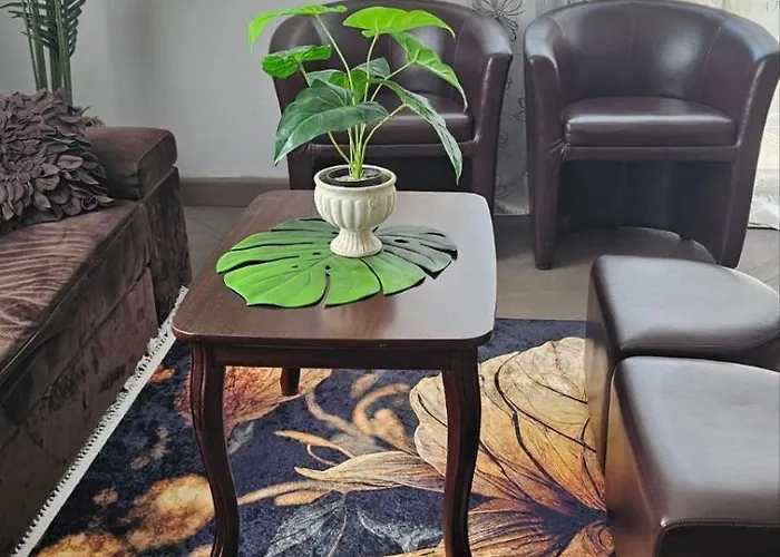 Dvieju Kambariu Butas Kauno Centre Kaunas